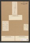 Scoliopleura sp. (de-Toni-Nr.: Genus 14) Zeichnungen Sammlung Grunow Nr. 2209 (NHMW-BOT-W0369291)
